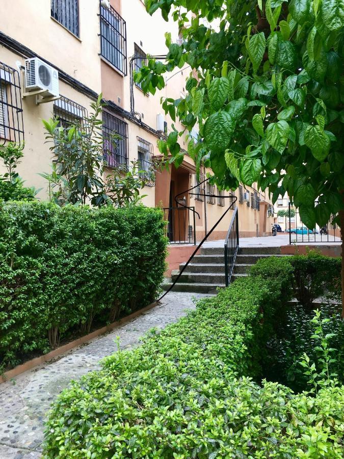 Apartment Flores Malaga